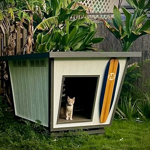 Fundraising Page: Linda Covillo